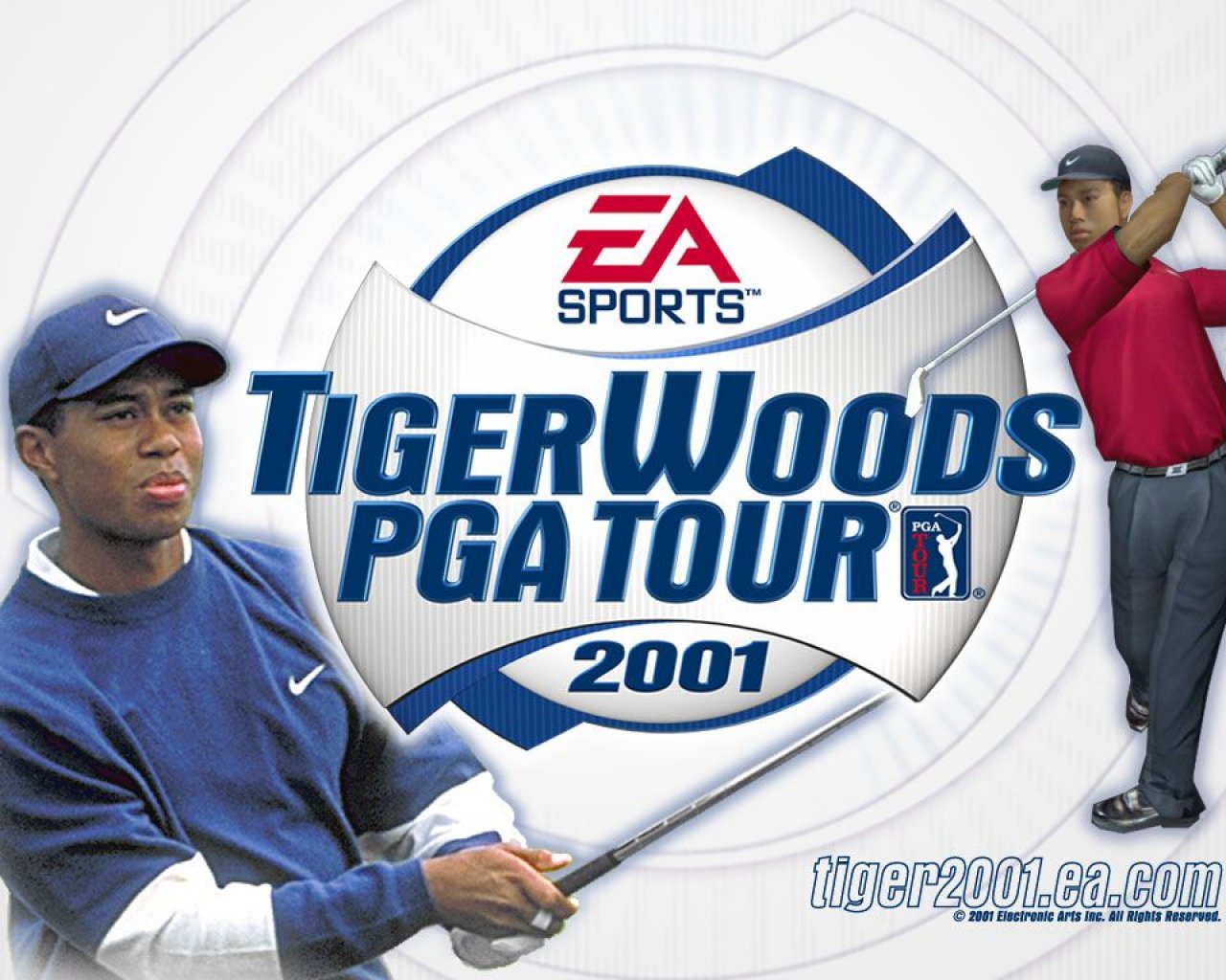 Tiger Wood Wallpapers