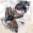 ChiMori